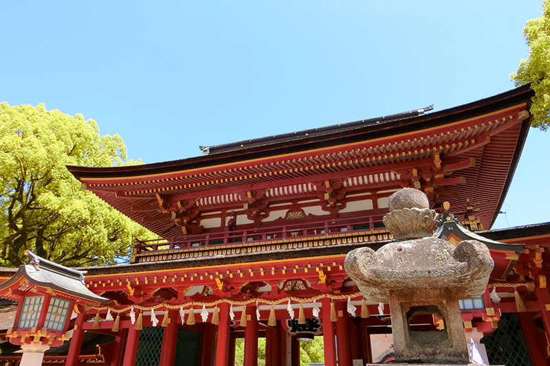 特に強い県はどこ？（福岡・太宰府天満宮）